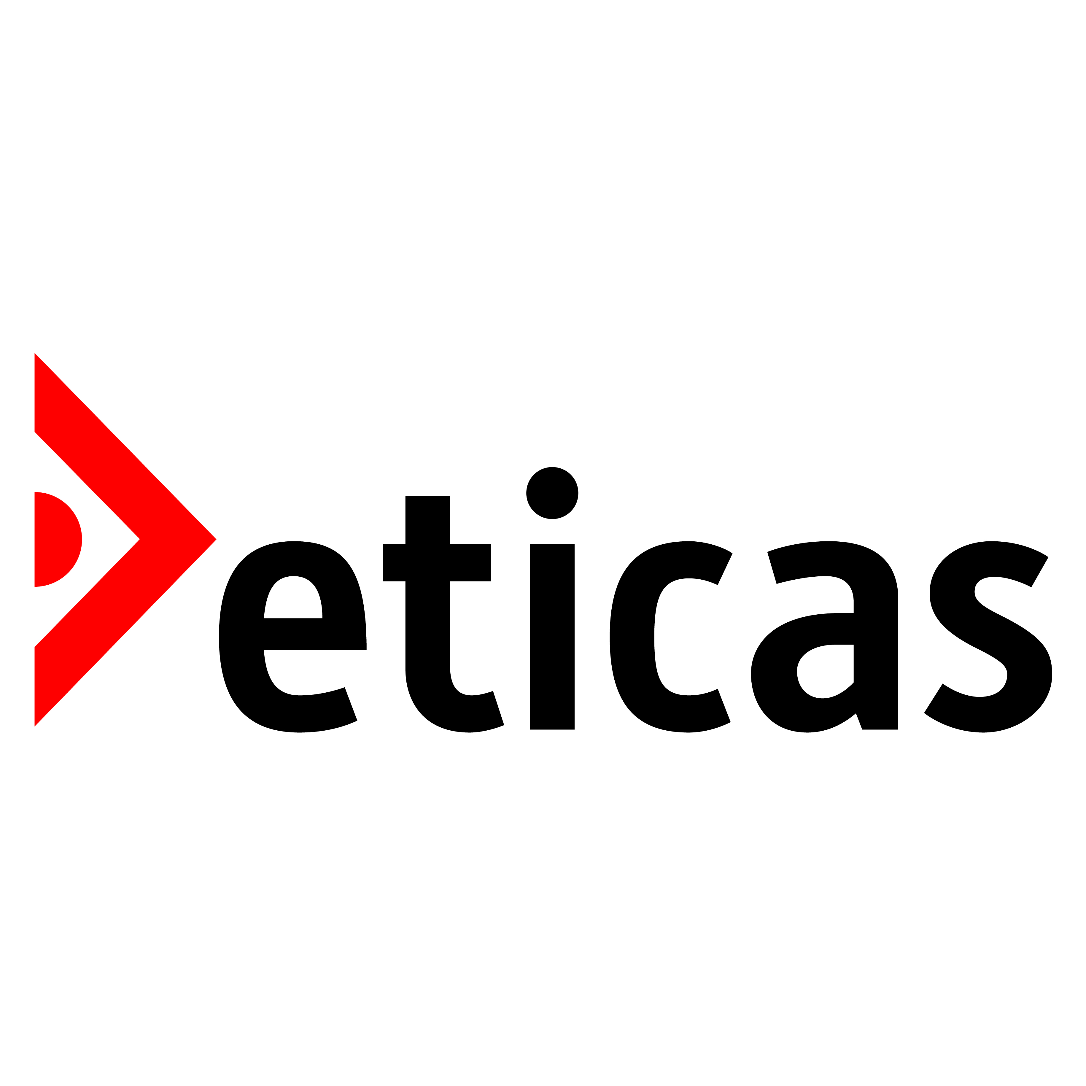 Eticas Research & Consulting logo